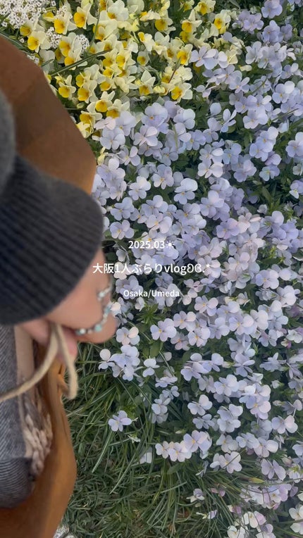 コレオロジーカットゼリー/FOODOLOGY/食品の人気ショート動画