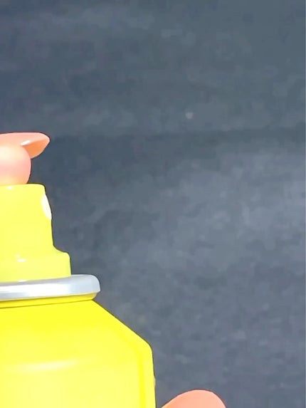 タイガレイド ウォーターミスト Ⅴ/タイガレイド/ミスト状化粧水を使ったクチコミ(5枚目)