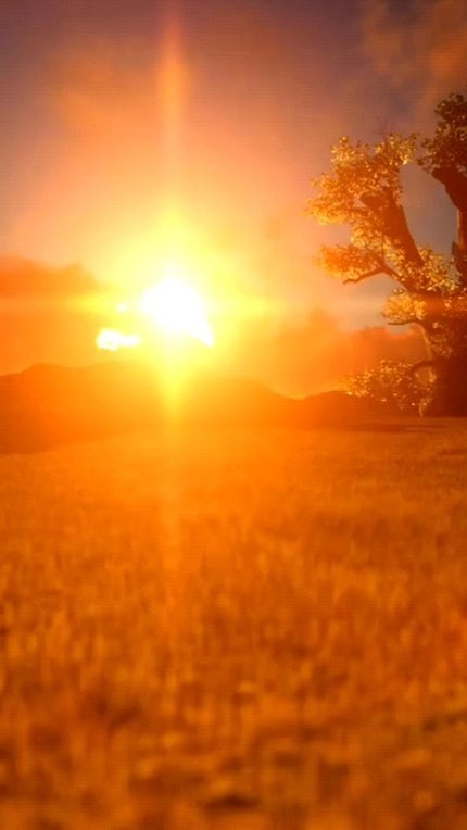 ハイセラ シャンプー / トリートメント ペアー&フリージア/ミルクバオバブ/シャンプー・コンディショナーを使ったクチコミ(1枚目)