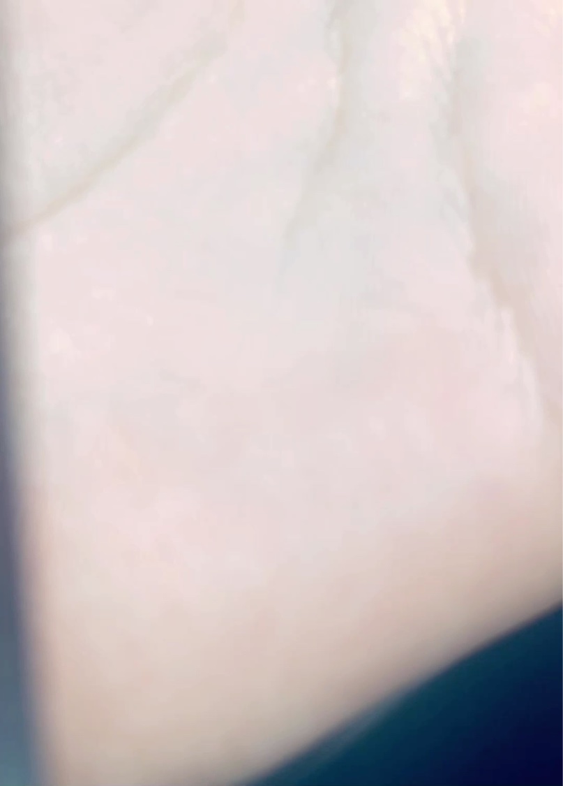 ハニーメルティングリップ/ネイチャーリパブリック/口紅を使ったクチコミ（1枚目）