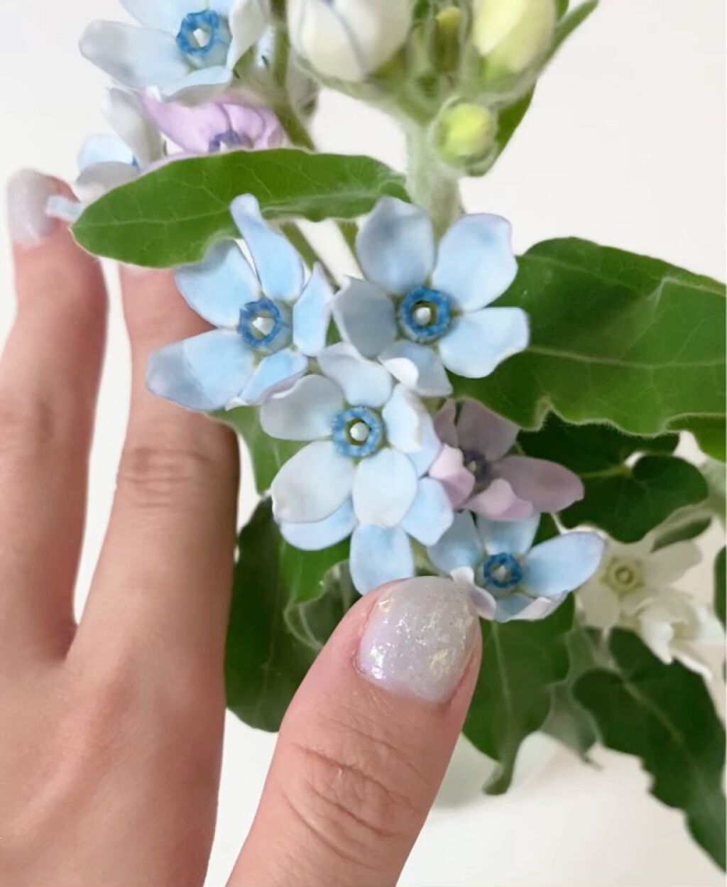 カラフルネイルズ/キャンメイク/マニキュアを使ったクチコミ（1枚目）