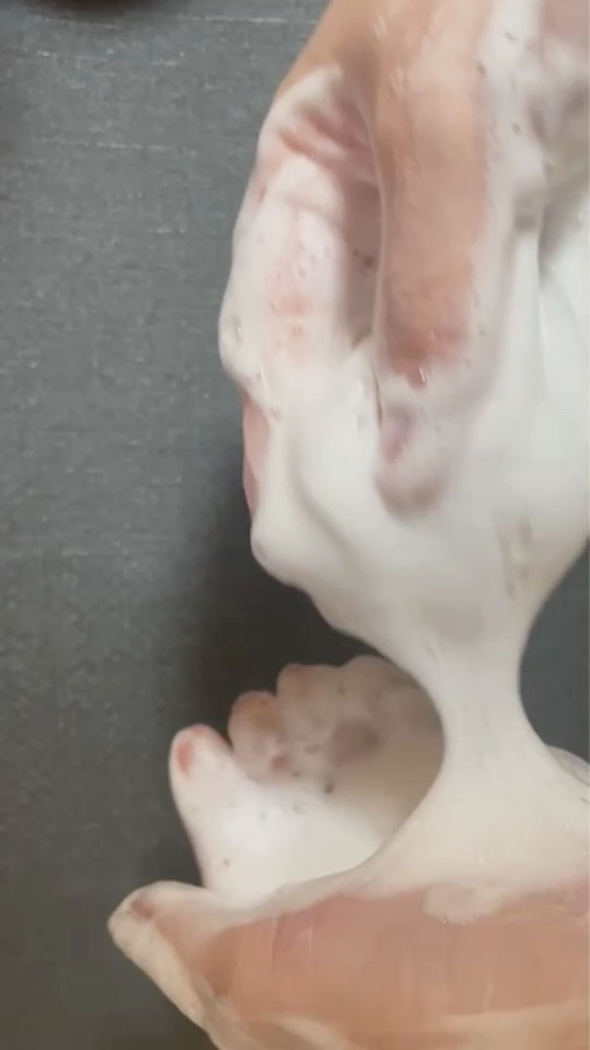 バウンシアボディソープ ホワイトフラワーガーデンの香り/Bouncia/ボディソープを使ったクチコミ（2枚目）