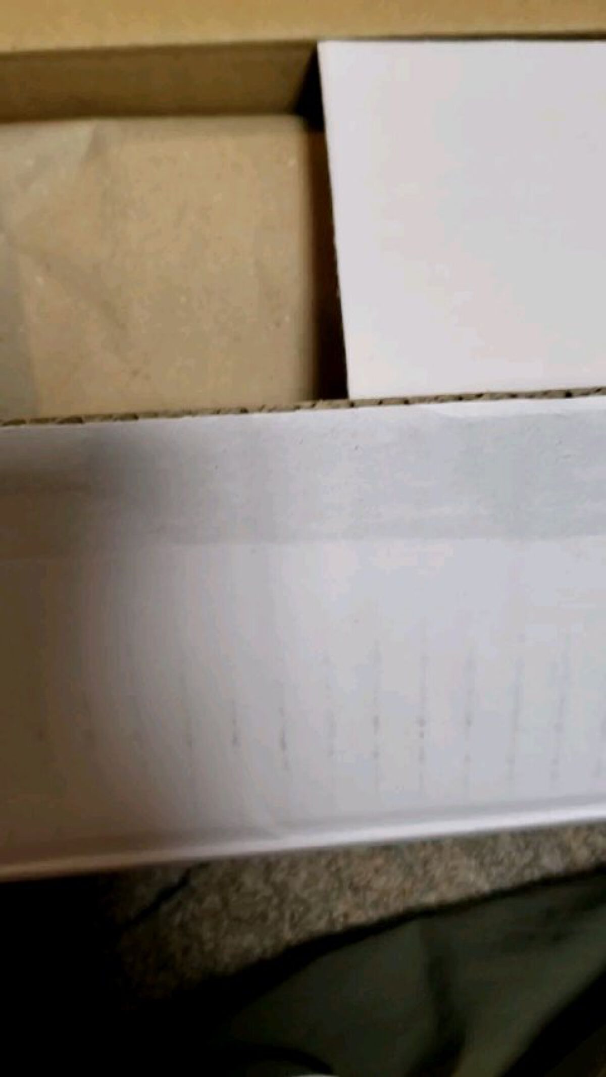 極細アイブロウマスカラ/CEZANNE/眉マスカラを使ったクチコミ（1枚目）