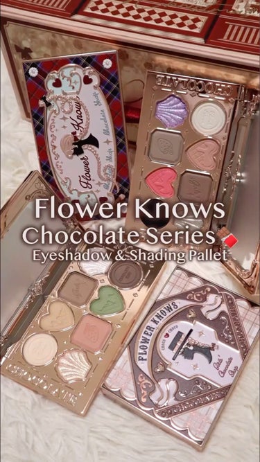 チョコレートシリーズアイシャドウパレット 03 ウィッチ ブティック/FlowerKnows/アイシャドウパレットを使ったクチコミ（1枚目）