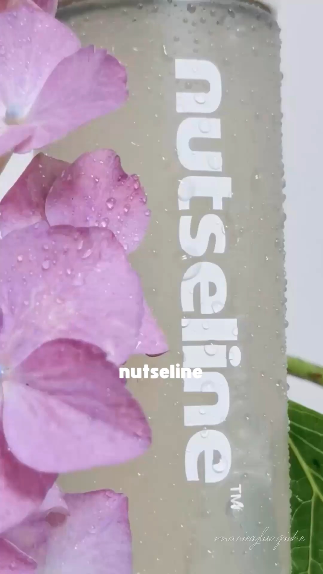 ナッセリングレイオイルミスト/nutseline/ボディオイルを使ったクチコミ（1枚目）