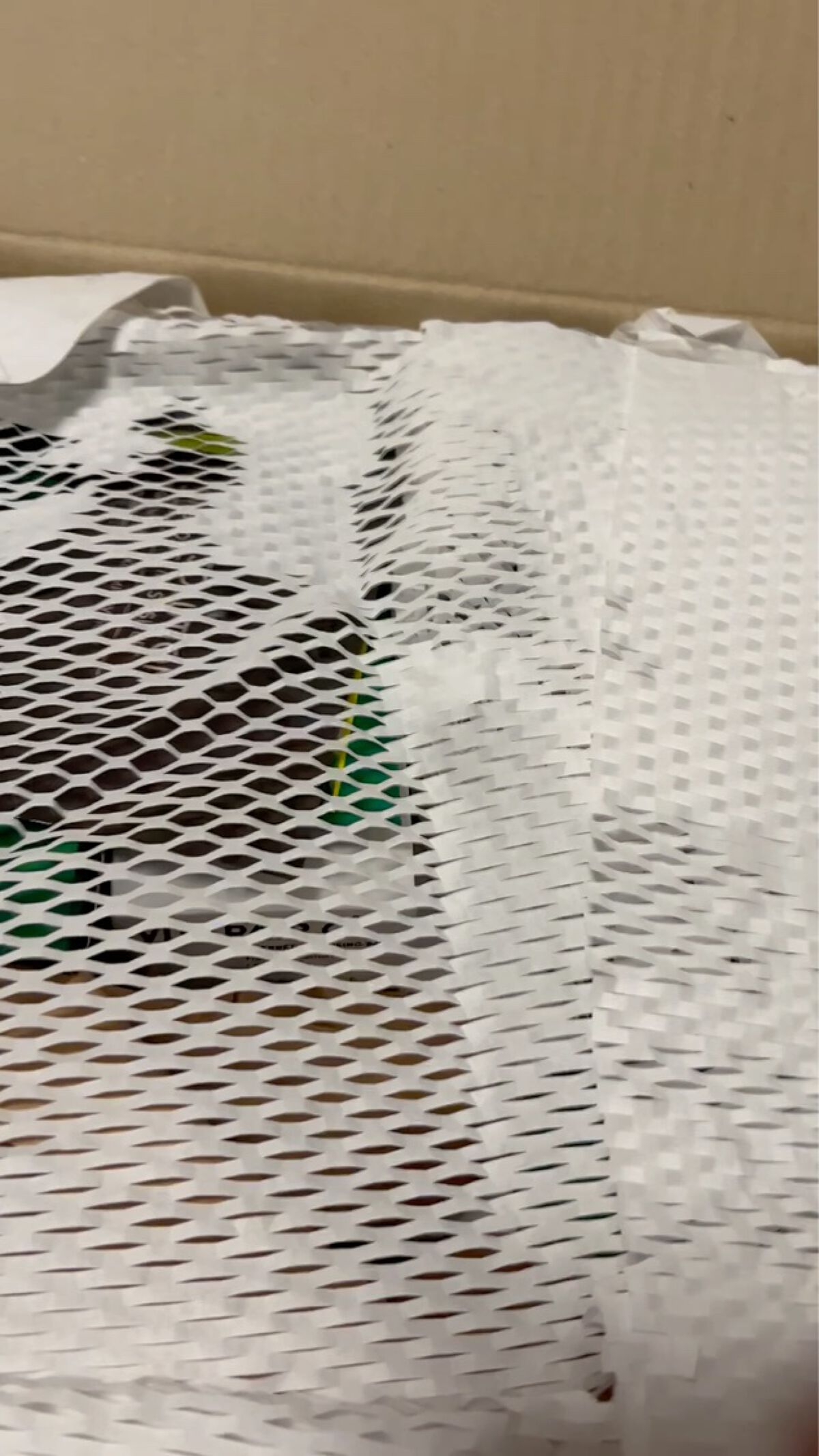 グリーンダーマCICAセラム/ネイチャーリパブリック/美容液を使ったクチコミ（1枚目）