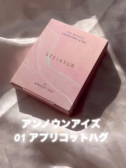アンノウンアイズ/STEIASUR(ステイアシュール)/アイシャドウパレットの人気ショート動画