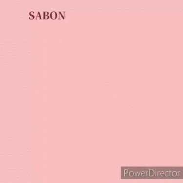 リップポリッシャー/SABON/リップケア・リップクリームを使ったクチコミ（2枚目）