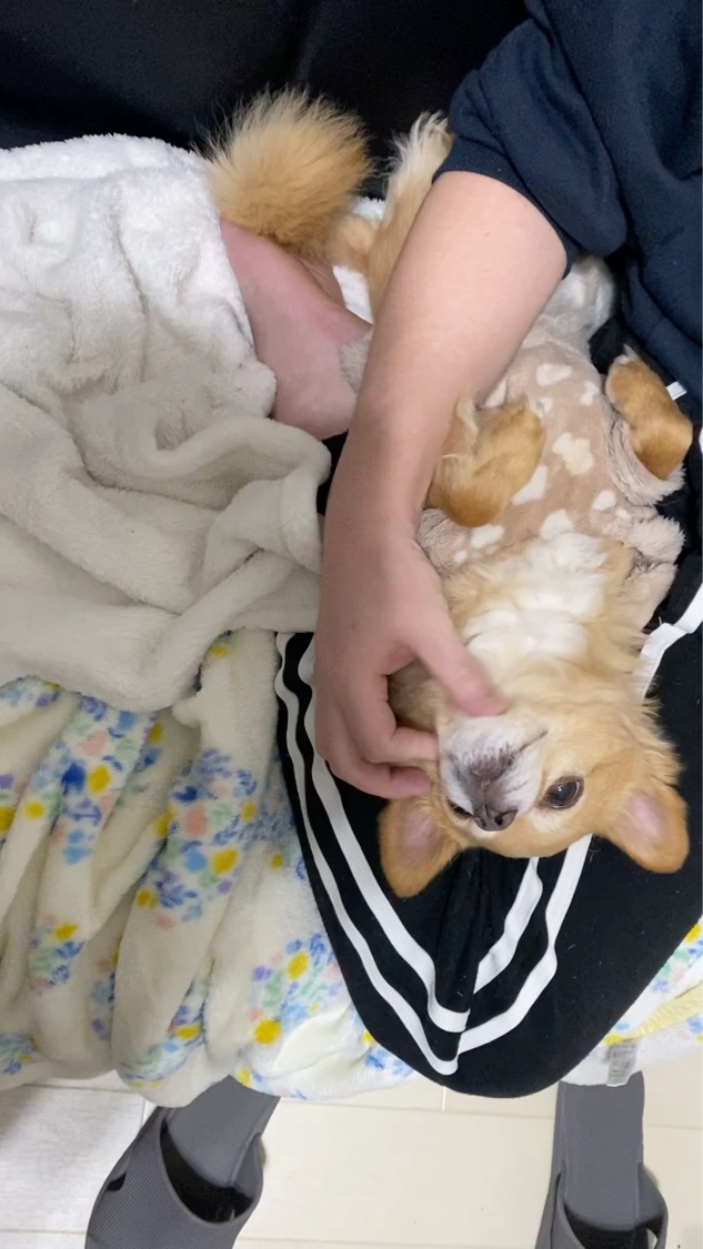  ミニ アフターグロー リップバームデュオ/NARS/口紅の動画クチコミ4つ目