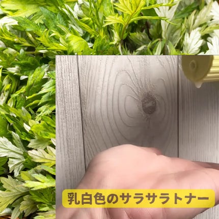 ヨモギセラカーミングモイスチャージェルクリーム/BRING GREEN/フェイスクリームを使ったクチコミ(2枚目)