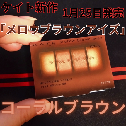 ケイト メロウブラウンアイズ/KATE/アイシャドウパレットを使ったクチコミ(2枚目)