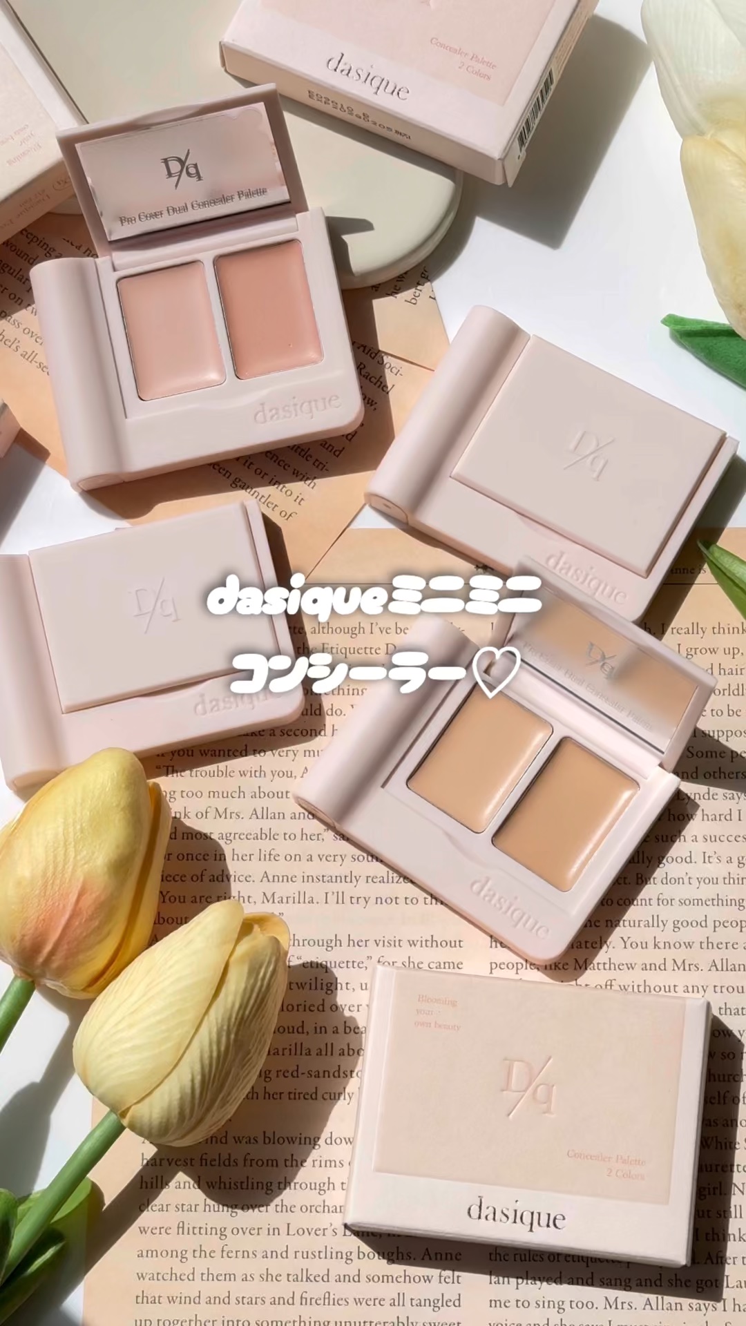 プロカバーデュアルコンシーラーパレット/dasique/パレットコンシーラーの動画クチコミ3つ目