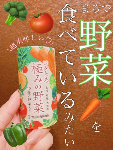 試してみた】コクとろ 極みの野菜 / 世田谷自然食品のリアルな口コミ