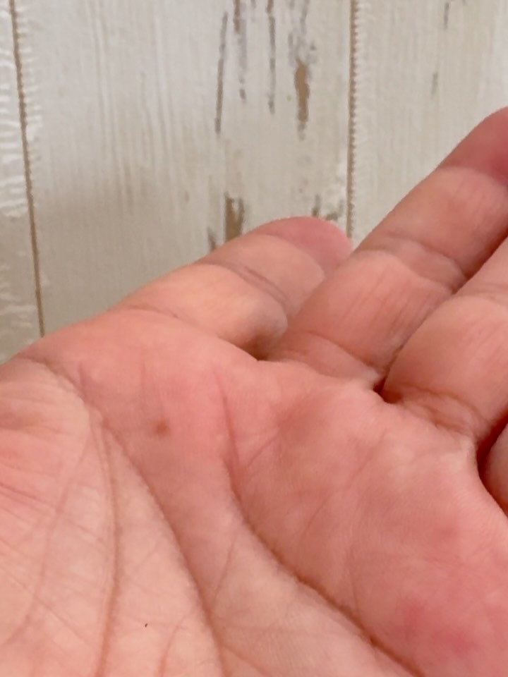 スネイルソリューション スキンブースター(R)/ネイチャーリパブリック/ブースター・導入液を使ったクチコミ（3枚目）