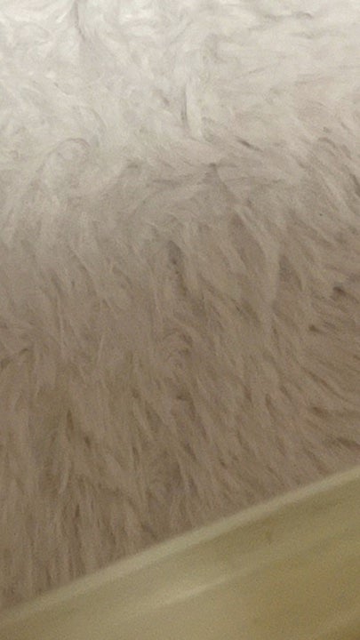 ケイト リップモンスター/KATE/口紅の人気ショート動画