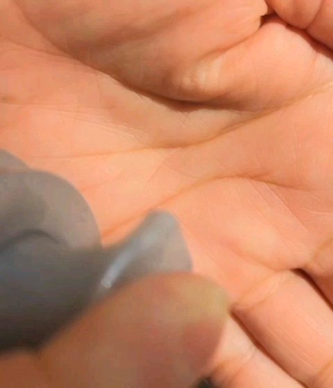 ソフィーナ iP 水光ピーリング泡セラム<ふきとり美容液>/SOFINA iP/美容液を使ったクチコミ（3枚目）