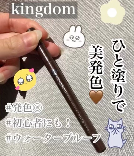 リキッドアイライナーWP		/キングダム/リキッドアイライナーを使ったクチコミ(1枚目)