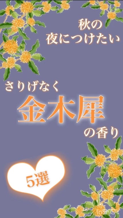 試してみた】ÉTOILE FILANTE (エトワール・フィラント) ルイ 試してみた】ÉTOILE FILANTE (エトワール・フィラント) ルイ