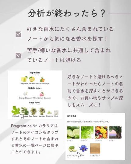 試してみた】ロタール オードトワレ ペンハリガンのリアルな 試してみた】ロタール オードトワレ ペンハリガンのリアルな