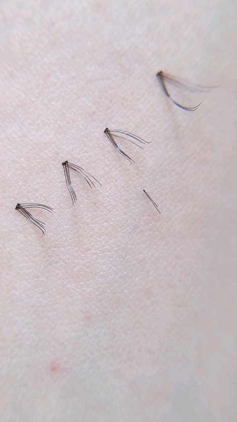 eyelash 10mm deep yellow/CCAM BBAK/つけまつげの人気ショート動画