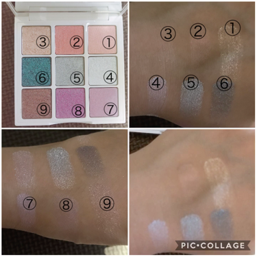 Polar Ice Eye Palette/シャンテカイユ/アイシャドウパレットを使ったクチコミ（3枚目）