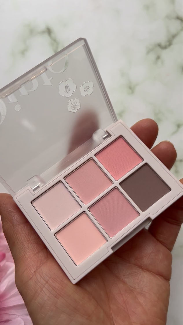 ブラーフィニシュシャドウパレット/Dinto/アイシャドウパレットを使ったクチコミ（2枚目）