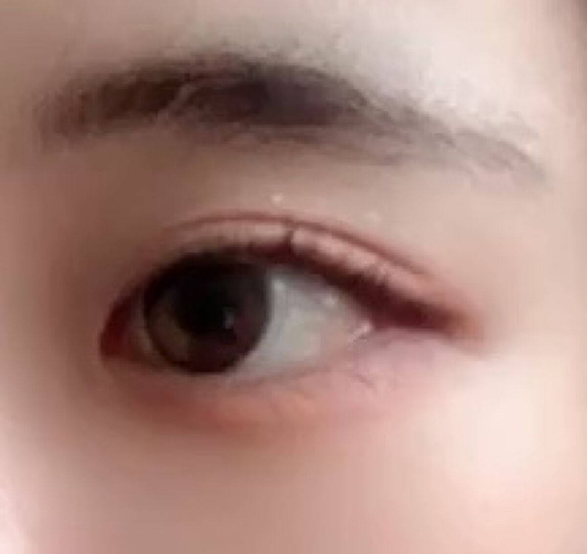 ReVIA 1day/ReVIA/ワンデー（１DAY）カラコンを使ったクチコミ（1枚目）