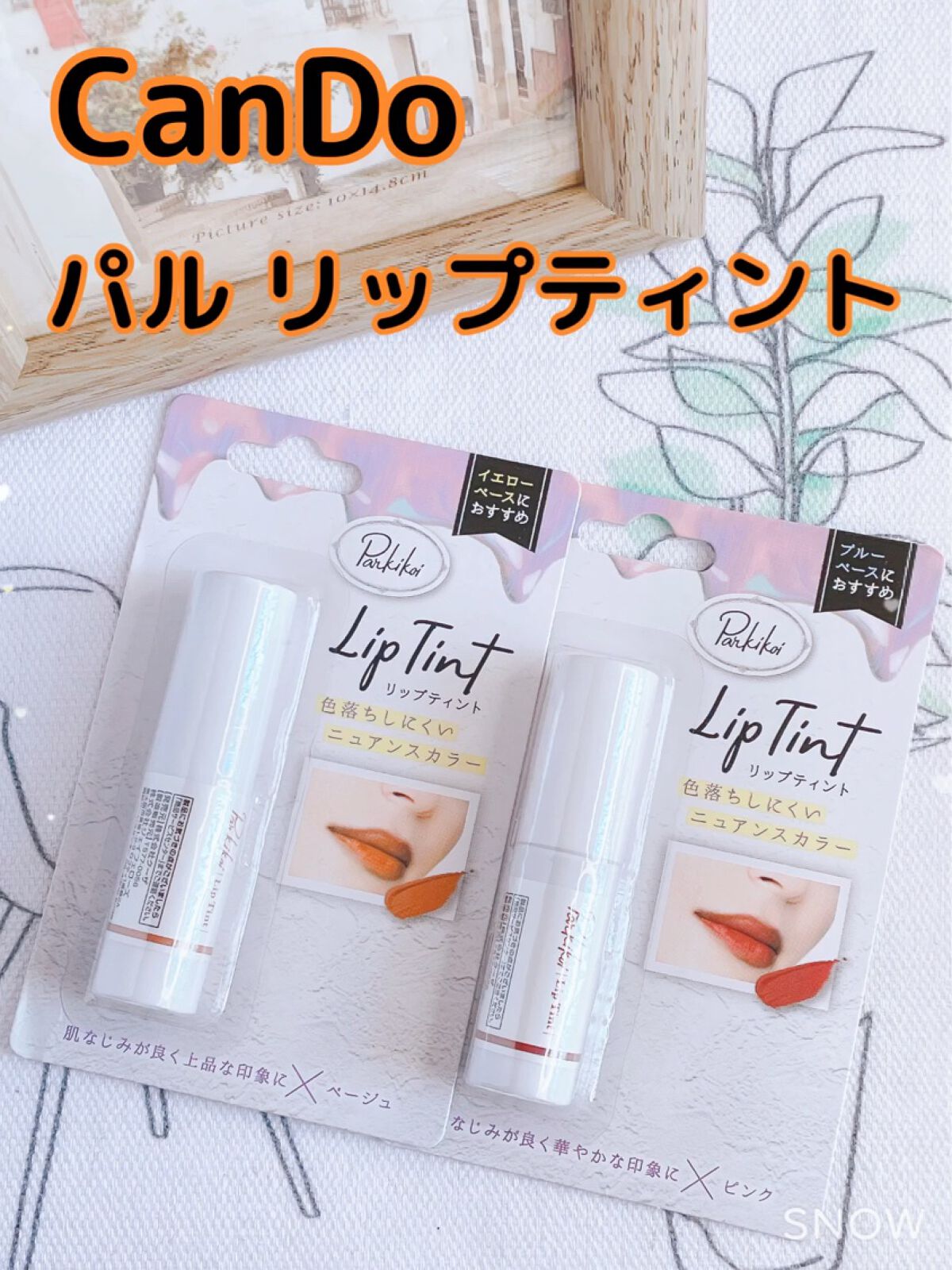 パル リップティント/キャンドゥ/リップティントを使ったクチコミ（1枚目）