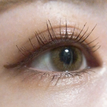 トーンアップアイシャドウ/CEZANNE/アイシャドウパレットを使ったクチコミ（3枚目）