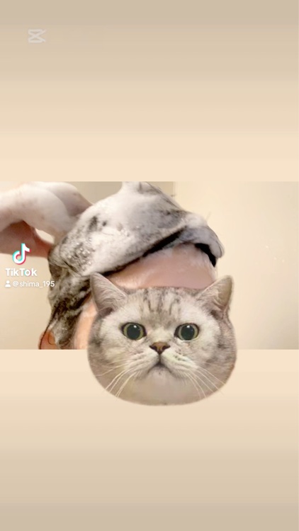 ビオリス ピュアレタッチ ぱやとぅや シャンプー/ビオリス ピュアレタッチ ぱやとぅや ヘアコンディショナーを使ってみました！

植物由来の洗浄成分*1で優しく洗い上げます。泡がもこもこで気持ちいいです！！
そのほかにも、アルガンオイル*2