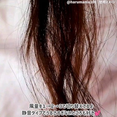 アドバンス ラピッドボーテ （MHD-1254）/mod's hair/ドライヤーの動画クチコミ2つ目