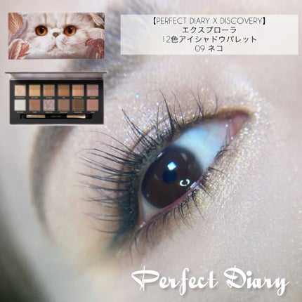 エクスプローラ12色 動物アイシャドウパレット/PERFECT DIARY/アイシャドウパレットの人気ショート動画