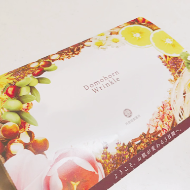 無料お試しセット(旧)/ドモホルンリンクル/トライアルキットを使ったクチコミ（2枚目）