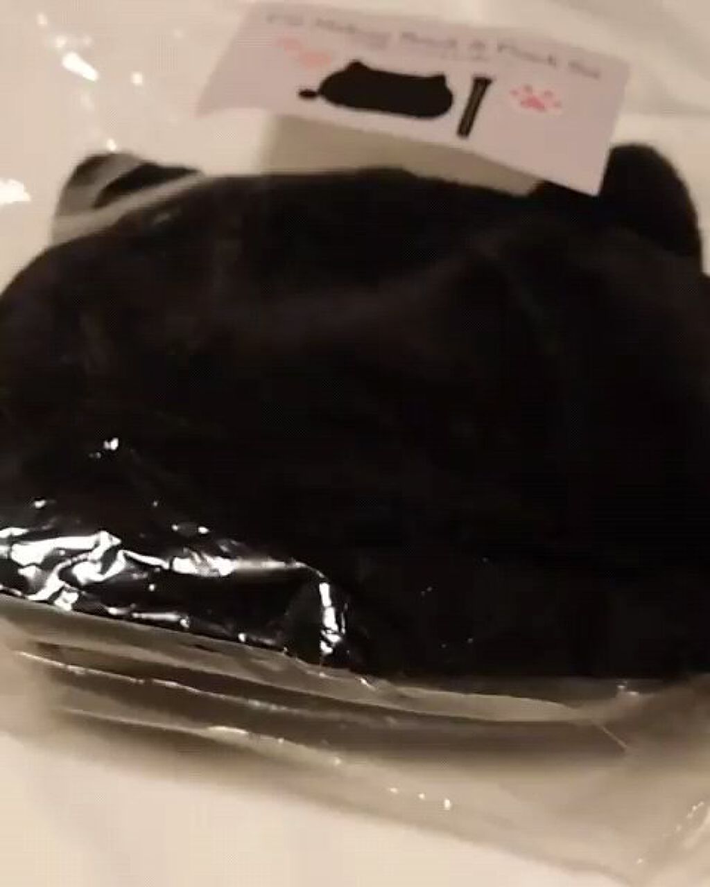 ネコ肉球メイクブラシ＆ネコ型ポーチ/axes femme（アクシーズファム）/その他キットセットを使ったクチコミ（1枚目）