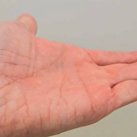 ホイップウォッシュ ぽあぽあ/COSMEDON/泡洗顔を使ったクチコミ（2枚目）