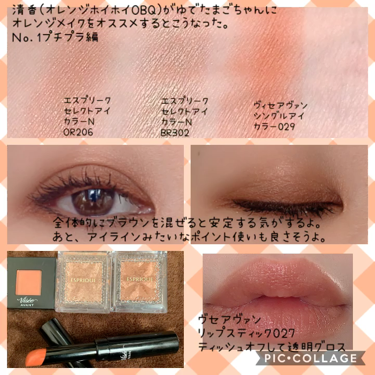 ヴィセ アヴァン シングルアイカラー/Visée/単色アイシャドウを使ったクチコミ（1枚目）