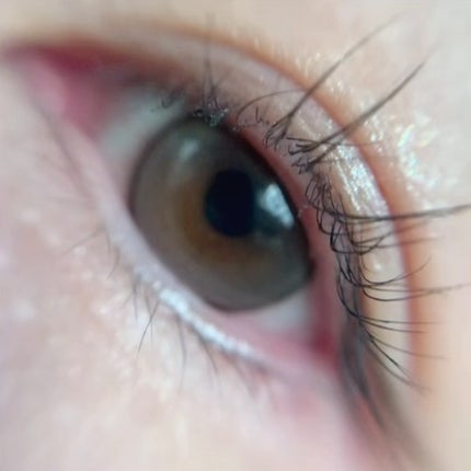 Glowy Tear 1day/OLENS/ワンデー(1DAY)カラコンを使ったクチコミ(4枚目)