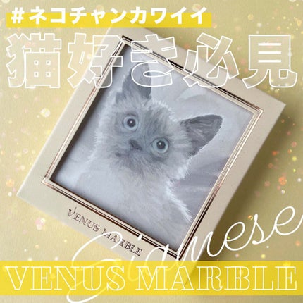 Venus Marble アイシャドウキャットシリーズ/Venus Marble/アイシャドウパレットの人気ショート動画