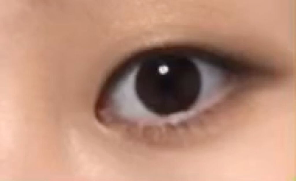 リシェ グラマラスモード アイパレット/Visée/アイシャドウパレットを使ったクチコミ（2枚目）