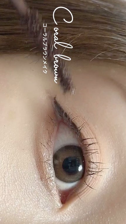 シャドウパレット/dasique/アイシャドウパレットの人気ショート動画