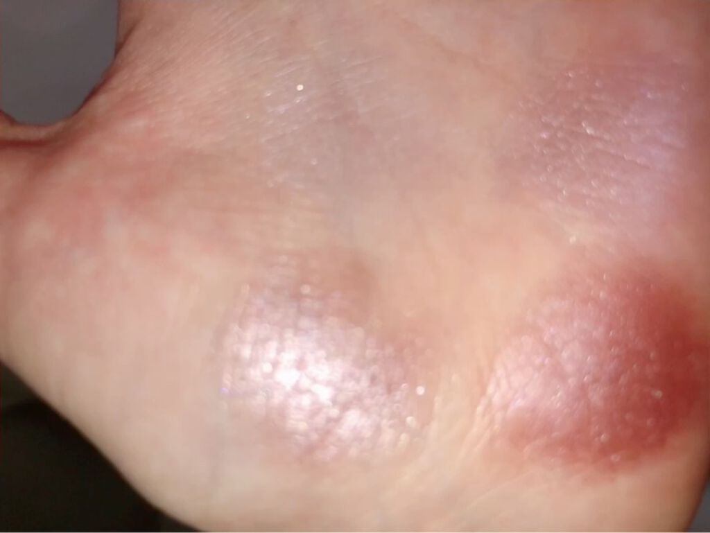 シルキースフレアイズ/キャンメイク/アイシャドウパレットを使ったクチコミ（3枚目）