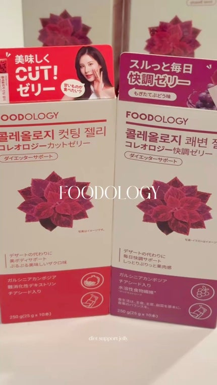 コレオロジーティー/FOODOLOGY/ドリンクの人気ショート動画