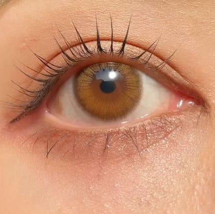 ヌンちゃん  on LIPS 「ㅤㅤㅤㅤㅤㅤㅤㅤㅤㅤㅤㅤㅤほどよく盛れるブラウンカラコン🧸𝗶-..」(4枚目)