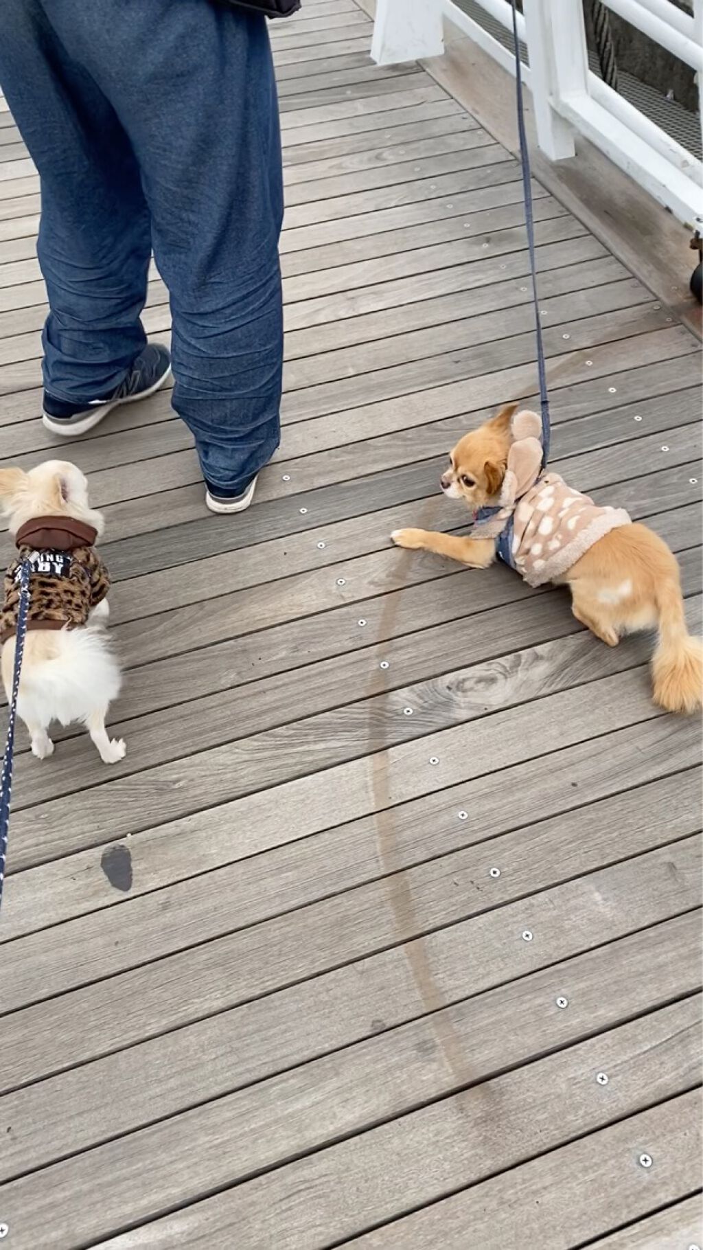 コール・クチュール・ウォータープルーフ/GIVENCHY/ペンシルアイライナーの動画クチコミ3つ目