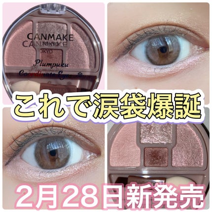 プランぷくコーデアイズ/キャンメイク/パウダーアイシャドウの人気ショート動画