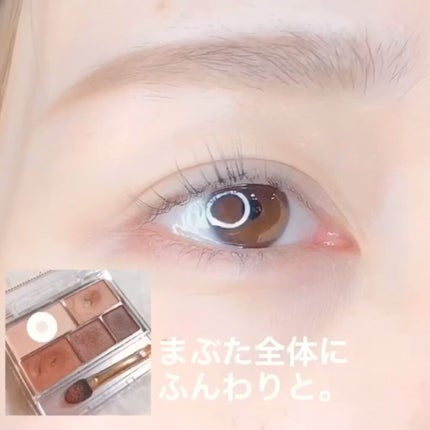 パーフェクトマルチアイズ/キャンメイク/アイシャドウパレットを使ったクチコミ(2枚目)