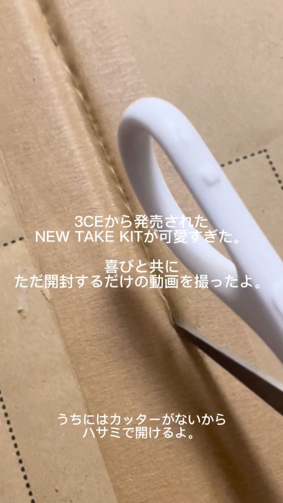 3CE ニューテイク フェイスブラッシャー/3CE/チークの動画クチコミ5つ目