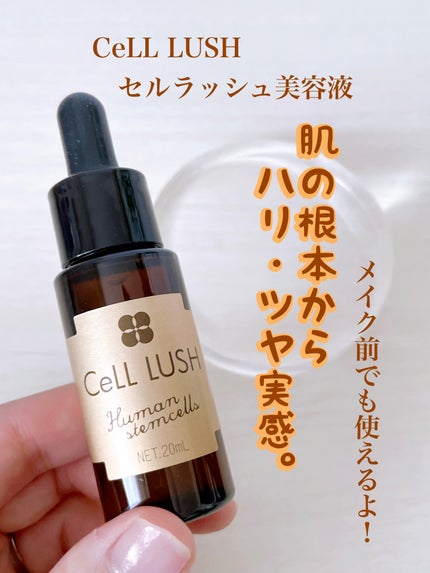 ヒト幹細胞配合美容液/セルラッシュ/美容液の人気ショート動画