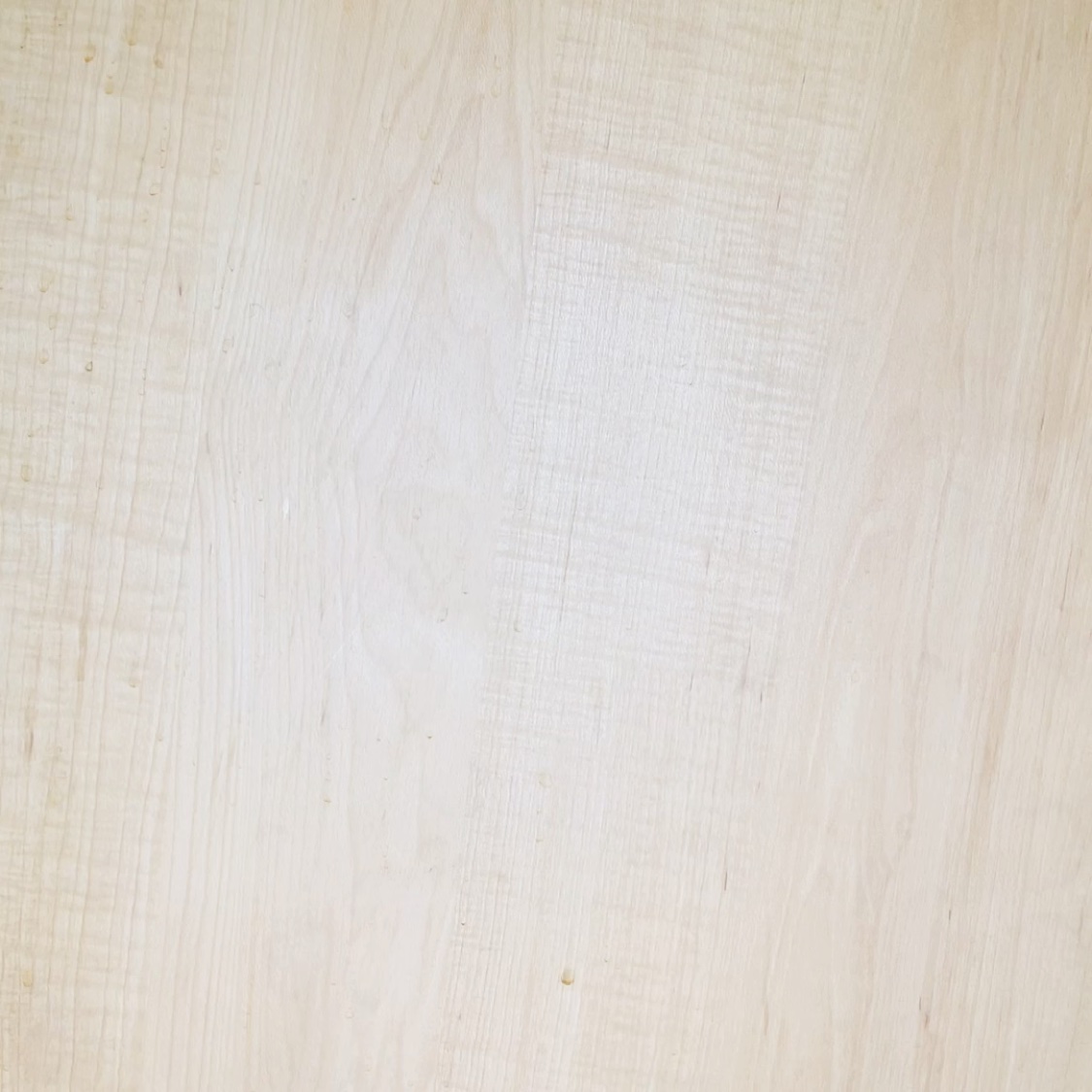 アクティビティプロバイオティクス クリーム/LUNA BELLA/フェイスクリームの動画クチコミ1つ目