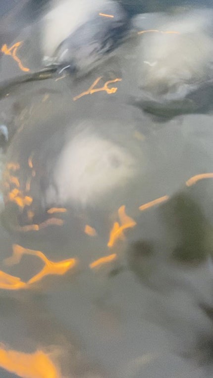 ベジパワープラス/ダイエットドリンク/ドリンクの人気ショート動画